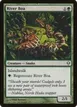 River Boa #180