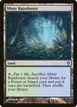 Misty Rainforest #220