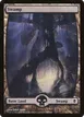 Swamp #238