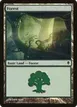 Forest #246a
