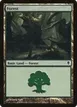 Forest #247a