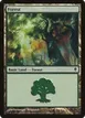 Forest #248a