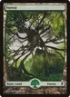 Forest #249