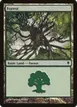Forest #249a