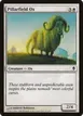 Pillarfield Ox #31