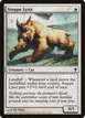 Steppe Lynx #36