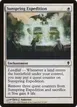 Sunspring Expedition #37