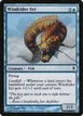 Windrider Eel #78