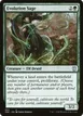 Evolution Sage #65