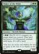 Waker of the Wilds #86