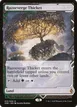 Razorverge Thicket #15