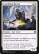 Expedition Healer #13