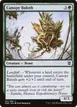Canopy Baloth #182