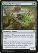 Kazandu Nectarpot #190