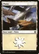 Plains #380