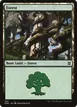 Forest #384