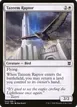 Tazeem Raptor #43