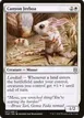 Canyon Jerboa #7