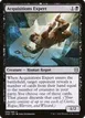 Acquisitions Expert #89