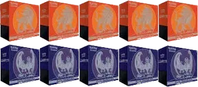 Sun & Moon Elite Trainer Box Case