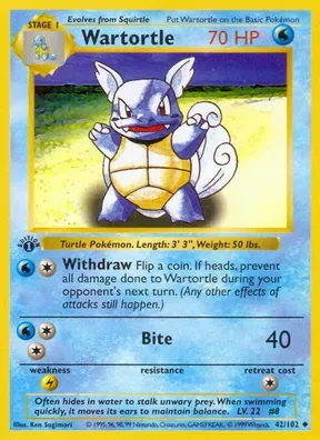 Wartortle #42