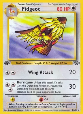 Pidgeot #24