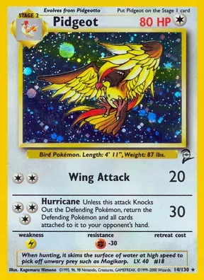 Pidgeot #14