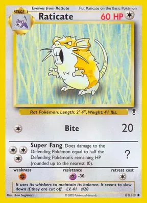Raticate #61