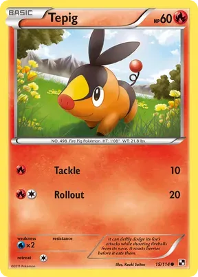 Tepig #15