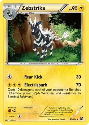 Zebstrika #43