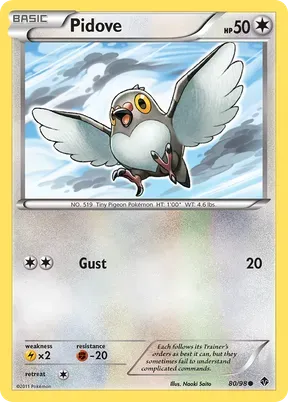 Pidove #80