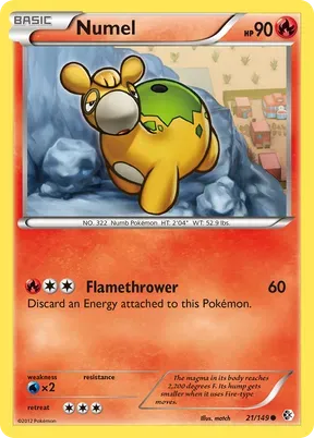 Numel #21
