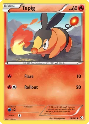Tepig #24