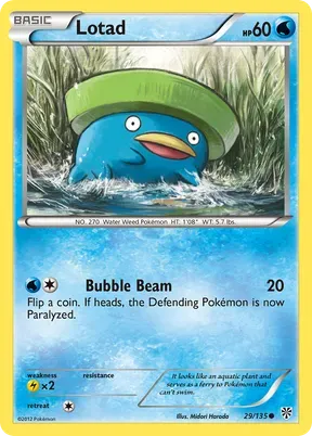 Lotad #29