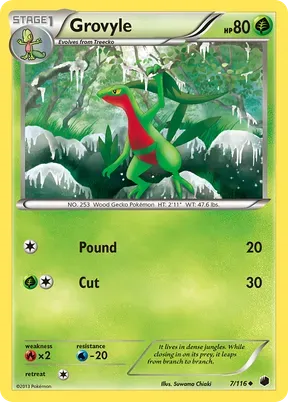 Grovyle #7