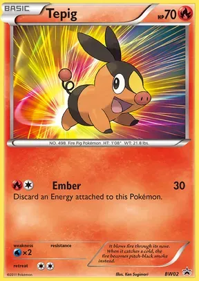 Tepig #BW02