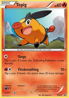 Tepig #BW07