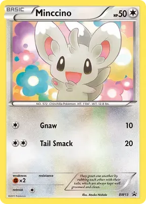 Minccino #BW13