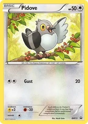 Pidove #BW15