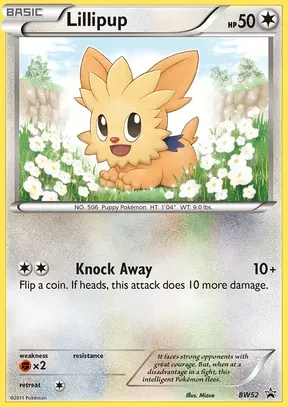 Lillipup #BW52
