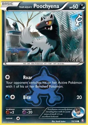 Team Aqua's Poochyena #16
