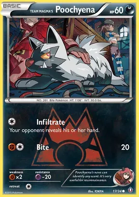 Team Magma's Poochyena #17