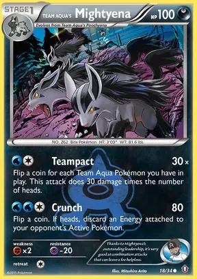 Team Aqua's Mightyena #18