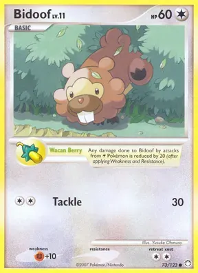 Bidoof #73