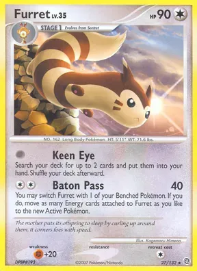 Furret #27