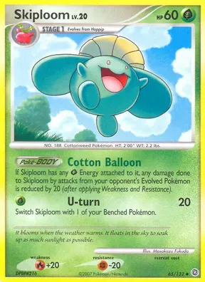 Skiploom #65