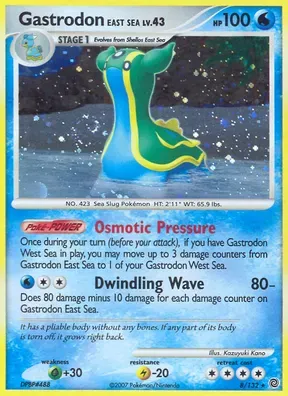 Gastrodon East Sea #8