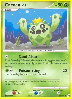 Cacnea #62