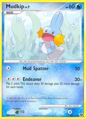 Mudkip #80