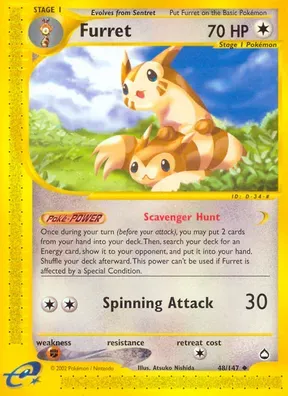 Furret #48